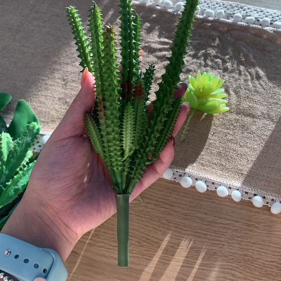 ☀️Hump Day Happiness SALE☀️ Styling fun ✨7 Pieces Plant Styling props - Picture 10 of 12